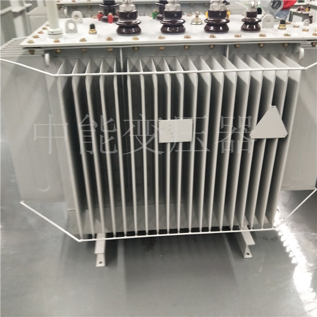 临沧S20-800KVA变压器