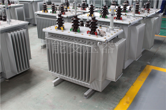 临沧S22-250KVA/10KV变压器